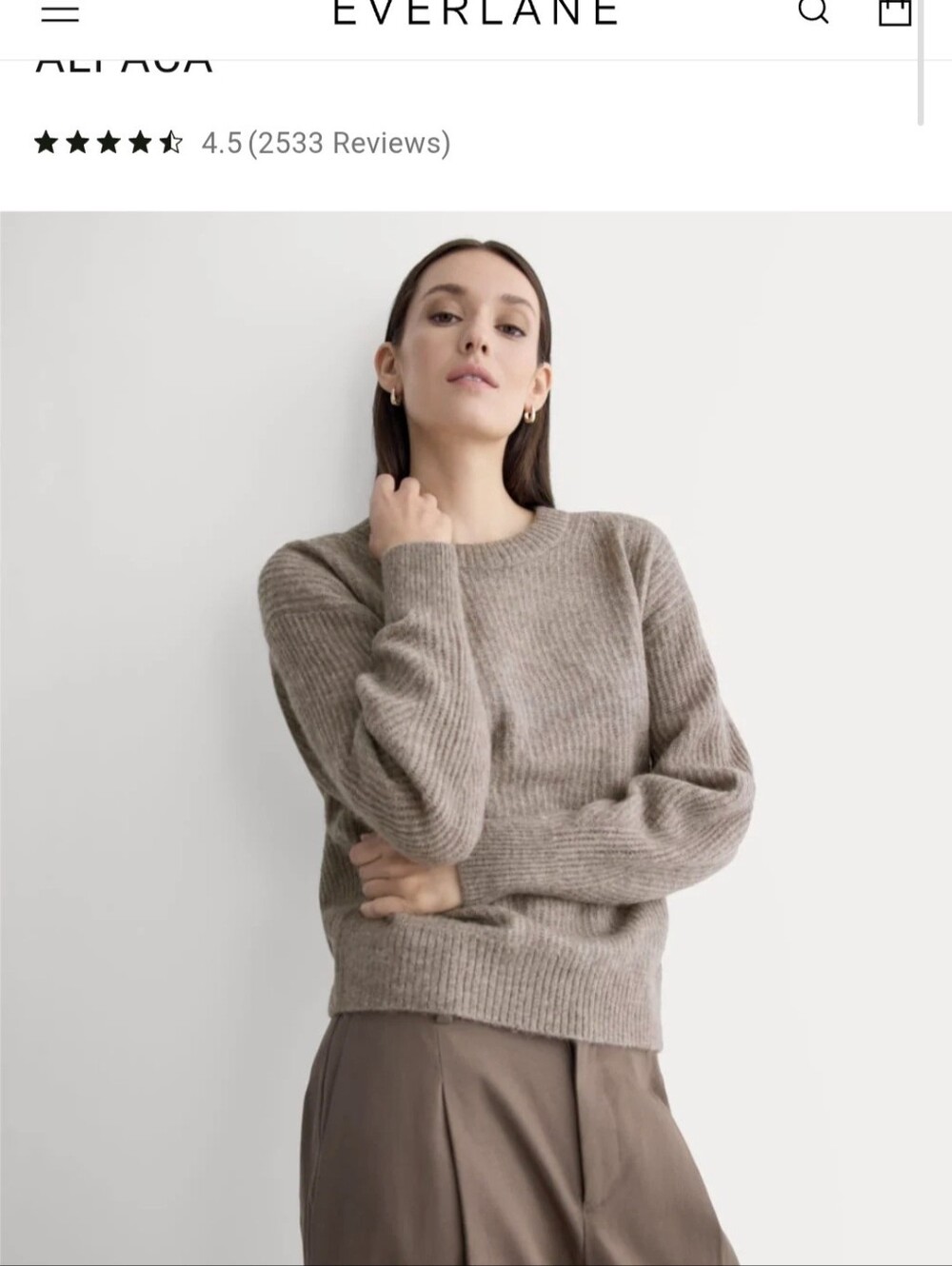 NWT Everlane The Cocoon Crew In Alpaca Size Small